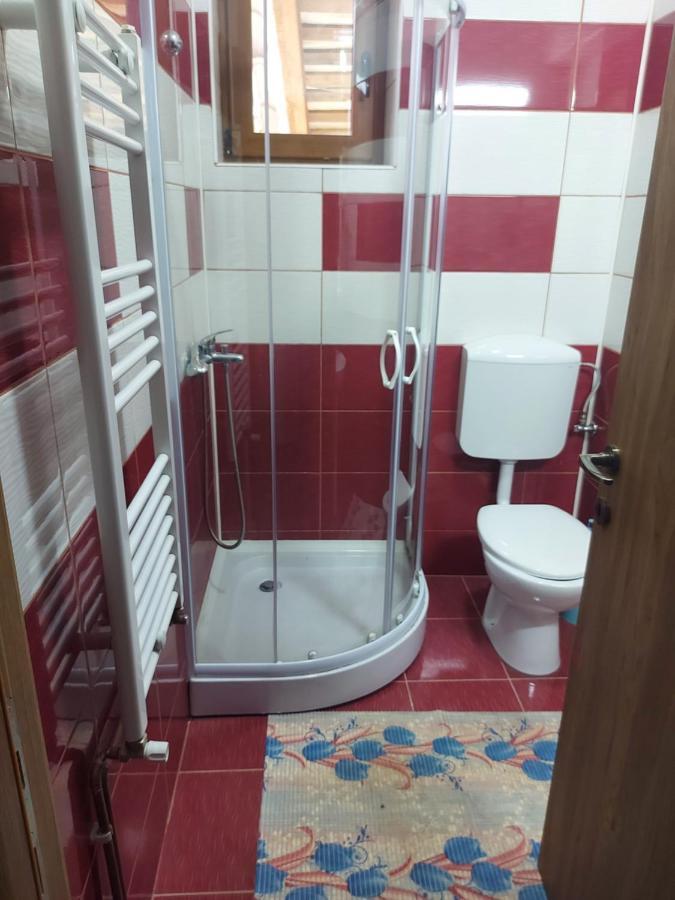 斯兰默多瓦 Vila Ioana酒店 外观 照片